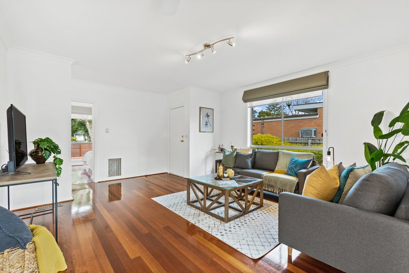 Photo - 51A Weymar Street, Cheltenham VIC 3192 - Image 3