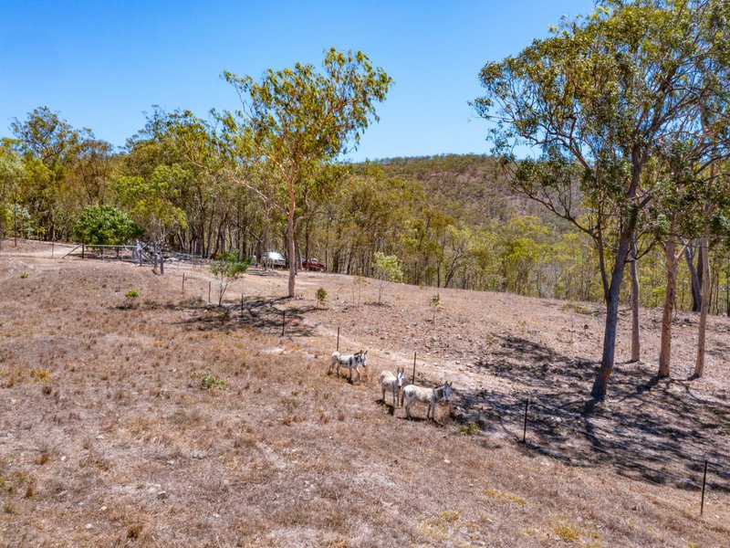 Photo - 52 Anderson Road, Tolga QLD 4882 - Image 18