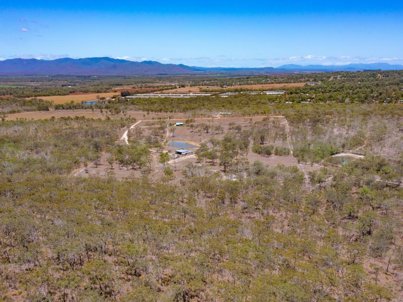 Photo - 52 Anderson Road, Tolga QLD 4882 - Image 13