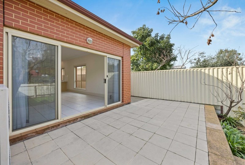 Photo - 52 Ann Street, Stepney SA 5069 - Image 13