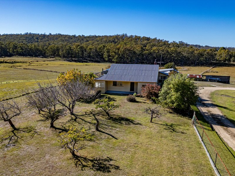 Photo - 52 Ansons Bay Road, St Helens TAS 7216 - Image 23