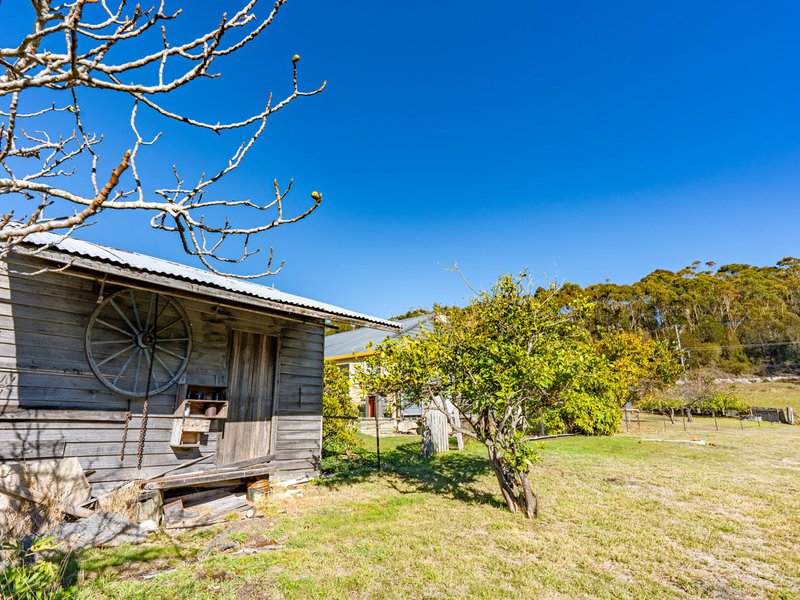 Photo - 52 Ansons Bay Road, St Helens TAS 7216 - Image 25