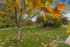 Photo - 52 Berkshire Parade, Penguin TAS 7316 - Image 23