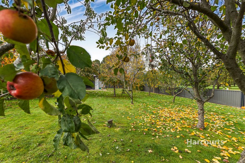 Photo - 52 Berkshire Parade, Penguin TAS 7316 - Image 24