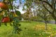Photo - 52 Berkshire Parade, Penguin TAS 7316 - Image 24