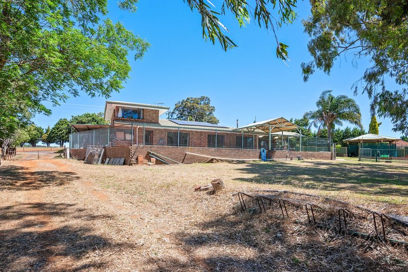 Photo - 52 Booth Street, Collie WA 6225 - Image 17