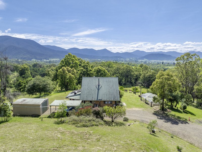 Photo - 52 Buckleys Ridge Road, Bemboka NSW 2550 - Image 4