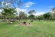 Photo - 52 Dundowran Road, Walligan QLD 4655 - Image 28