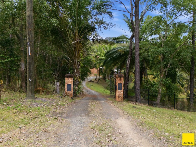 Photo - 52 Forest Close, Speewah QLD 4881 - Image 4