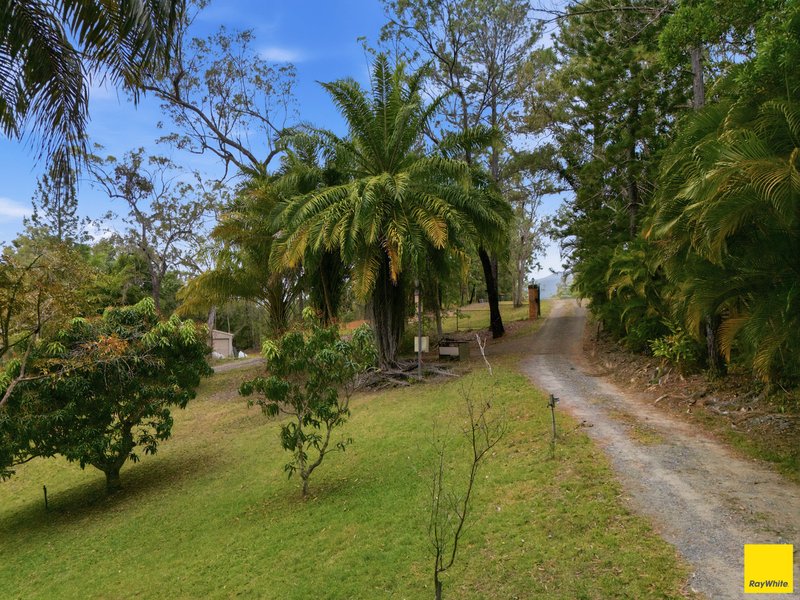 Photo - 52 Forest Close, Speewah QLD 4881 - Image 5