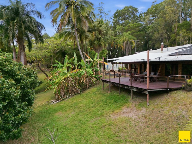 Photo - 52 Forest Close, Speewah QLD 4881 - Image 6