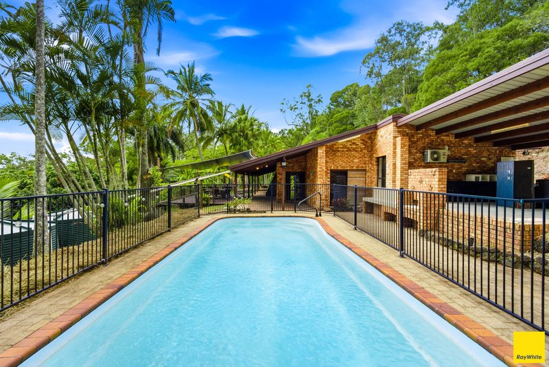Photo - 52 Forest Close, Speewah QLD 4881 - Image 27