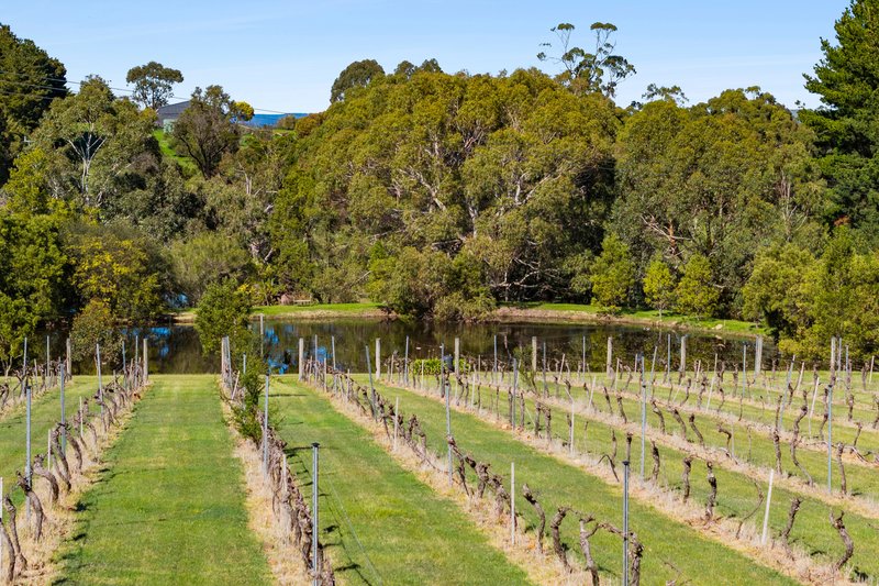Photo - 52 Granite Hill Lane, Kyneton VIC 3444 - Image 19