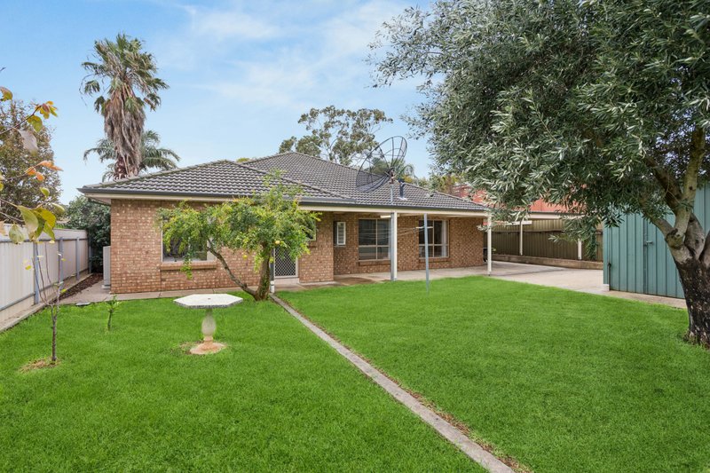 Photo - 52 Hallett Avenue, Tranmere SA 5073 - Image 17