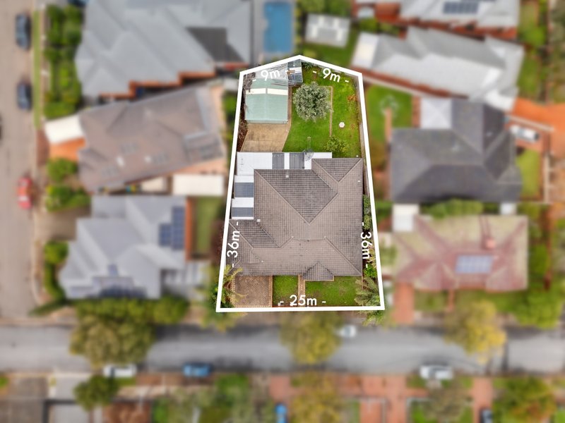 Photo - 52 Hallett Avenue, Tranmere SA 5073 - Image 24