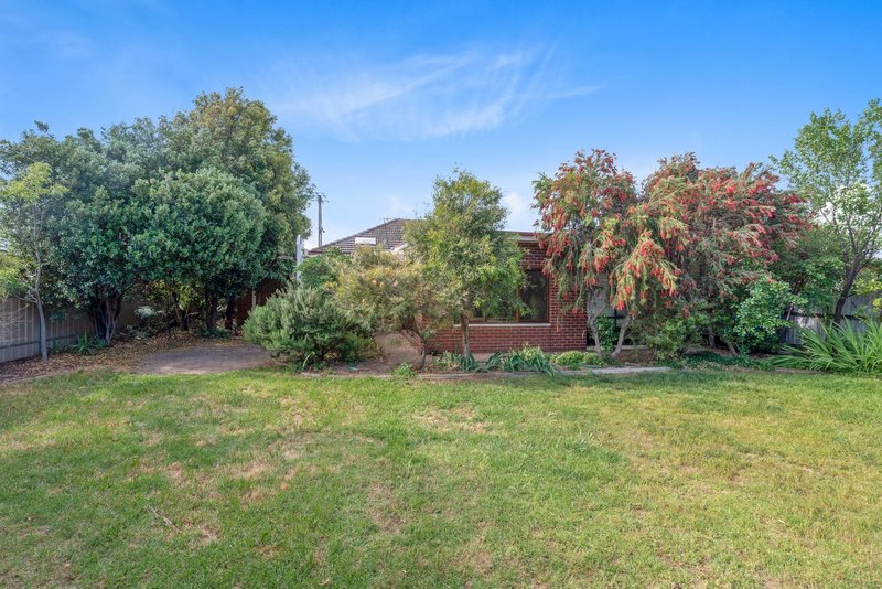 Photo - 52 Harding Street, Glengowrie SA 5044 - Image 20