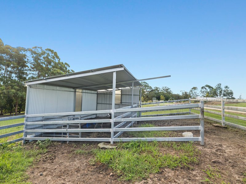 Photo - 52 Hazlemount Lane, Tuckurimba NSW 2480 - Image 18