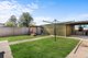 Photo - 52 Ivey Street, Ottoway SA 5013 - Image 12