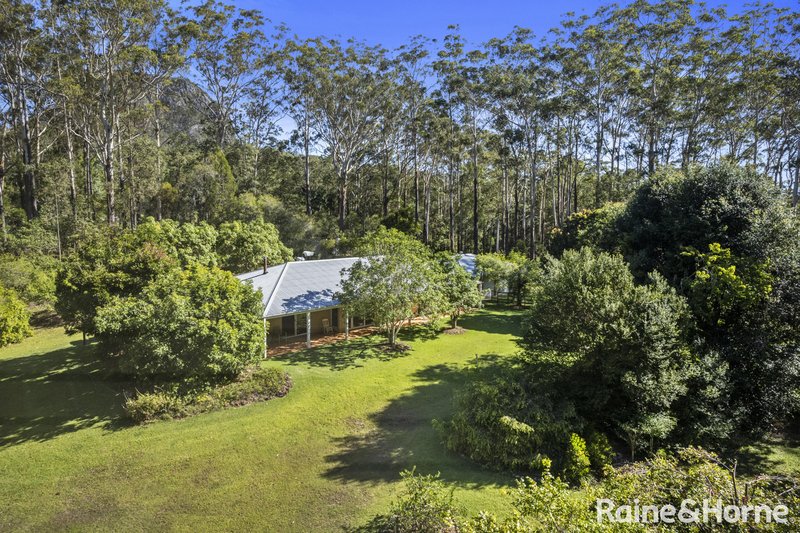 Photo - 52 Jampot Creek Road, Pomona QLD 4568 - Image 19