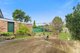 Photo - 52 Links Avenue, Concord NSW 2137 - Image 4