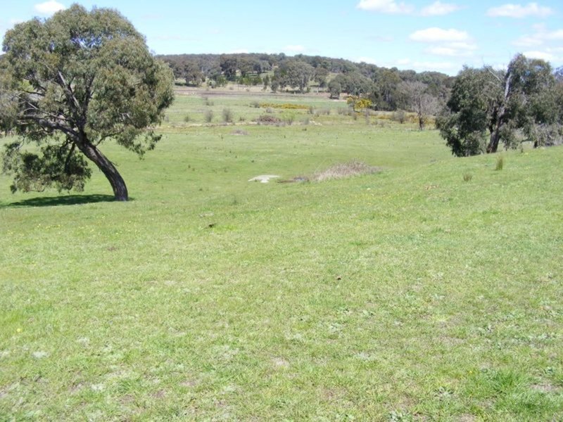 Photo - 52 Loloma Place, Goulburn NSW 2580 - Image 2