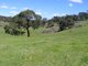 Photo - 52 Loloma Place, Goulburn NSW 2580 - Image 4