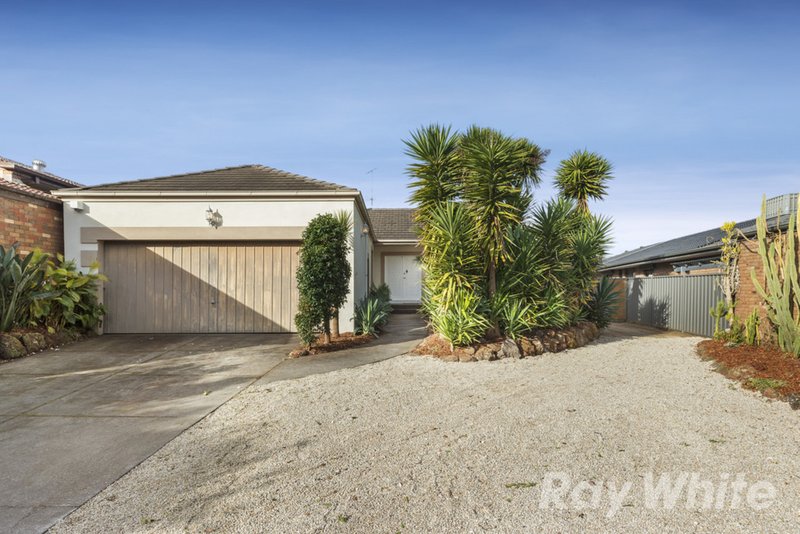 Photo - 52 Mannering Drive, Glen Waverley VIC 3150 - Image 9