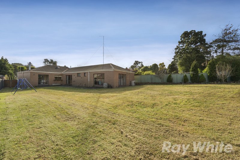 Photo - 52 Mannering Drive, Glen Waverley VIC 3150 - Image 11