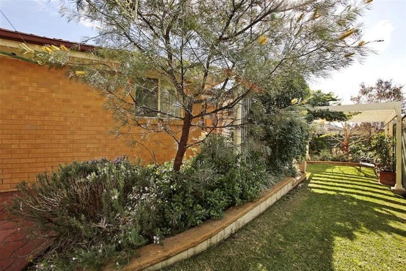 Photo - 52 Meehan Terrace, Harrington Park NSW 2567 - Image 11