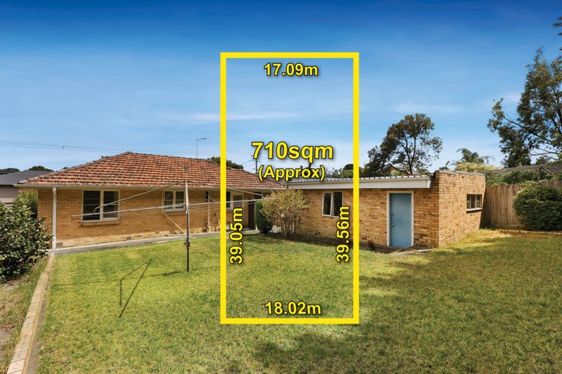 Photo - 52 Pepperell Avenue, Glen Waverley VIC 3150 - Image 9