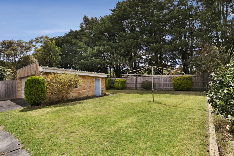 Photo - 52 Pepperell Avenue, Glen Waverley VIC 3150 - Image 10