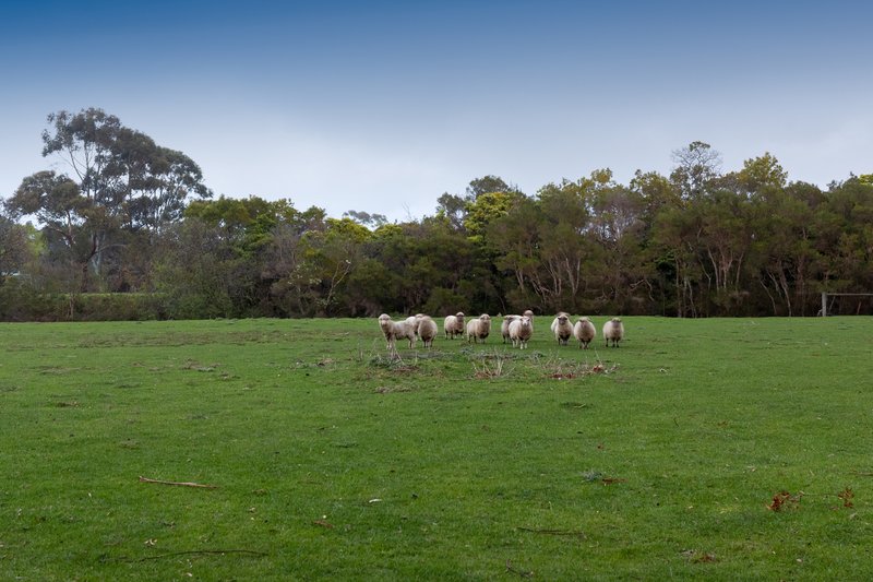 Photo - 52 Railway Road, Tyabb VIC 3913 - Image 16