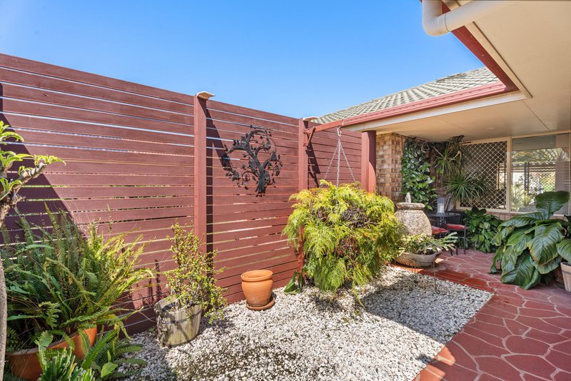 Photo - 52 Saint Joseph Drive, Urraween QLD 4655 - Image 4