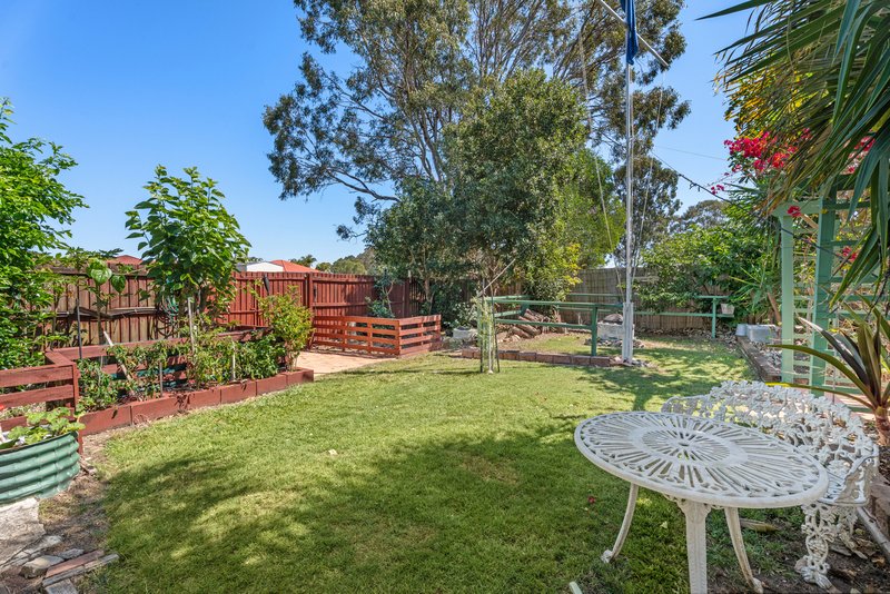 Photo - 52 Saint Joseph Drive, Urraween QLD 4655 - Image 20