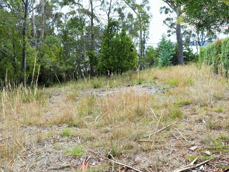 Photo - 52 Tasman Highway, St Helens TAS 7216 - Image 5