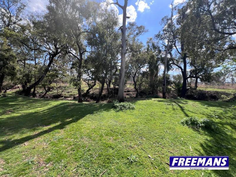 Photo - 520 Kumbia Road, Ellesmere QLD 4610 - Image 21