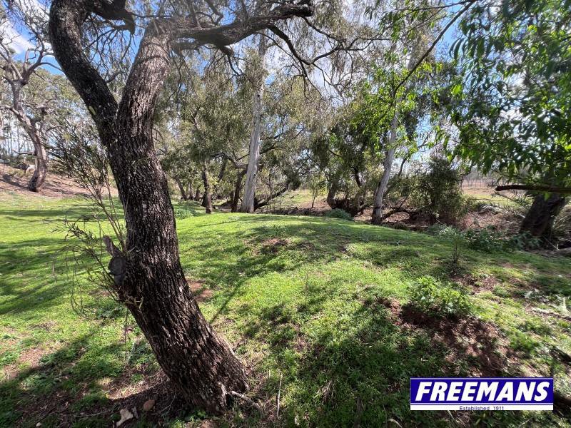 Photo - 520 Kumbia Road, Ellesmere QLD 4610 - Image 27