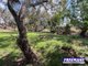 Photo - 520 Kumbia Road, Ellesmere QLD 4610 - Image 27