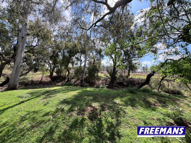 Photo - 520 Kumbia Road, Ellesmere QLD 4610 - Image 28