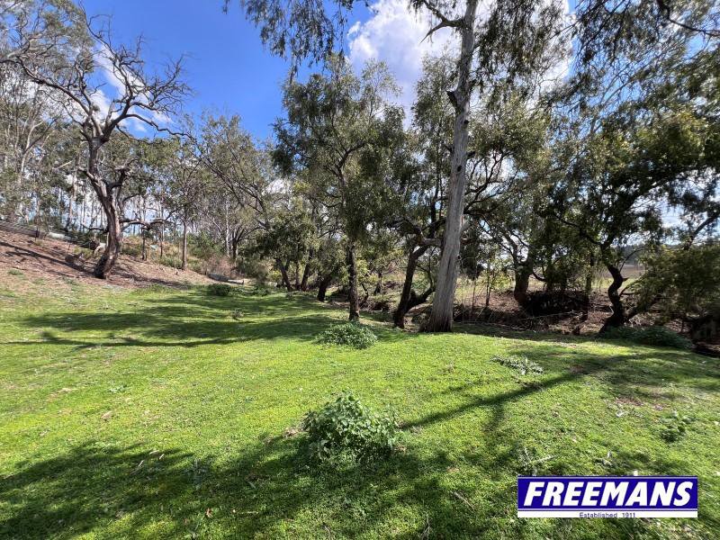 Photo - 520 Kumbia Road, Ellesmere QLD 4610 - Image 29