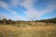 Photo - 523 Counter Road, Wolvi QLD 4570 - Image 16