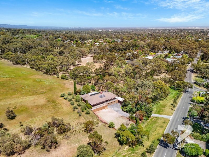 Photo - 523 Grenfell Road, Banksia Park SA 5091 - Image 23