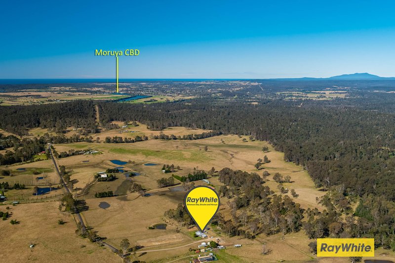 Photo - 523 Larrys Mountain Road, Moruya NSW 2537 - Image 25