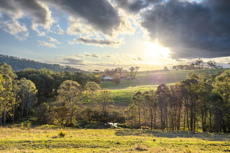 Photo - 524 The Bucketts Way, Stroud Road NSW 2415 - Image 14