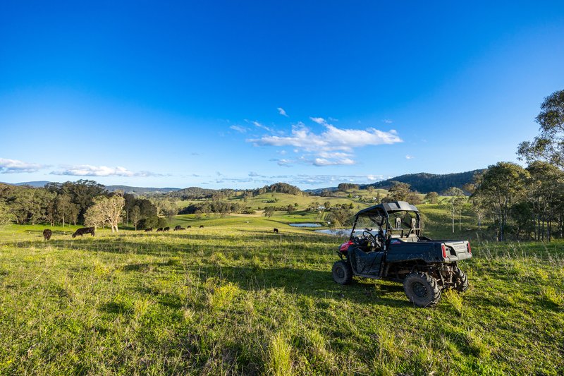 Photo - 524 The Bucketts Way, Stroud Road NSW 2415 - Image 18