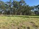 Photo - 524 Wingham Road, Taree NSW 2430 - Image 6