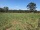 Photo - 524 Wingham Road, Taree NSW 2430 - Image 8