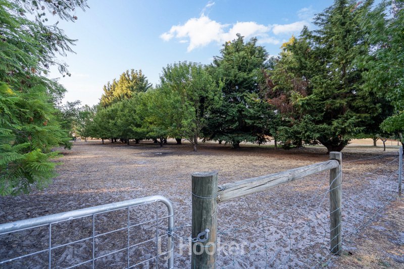 Photo - 524 Yalyalup Road, Hithergreen WA 6280 - Image 20