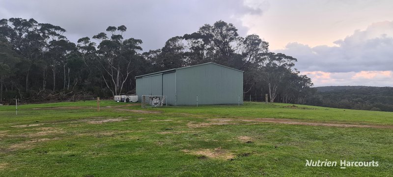 Photo - 526 Board Road, Kordabup WA 6333 - Image 18