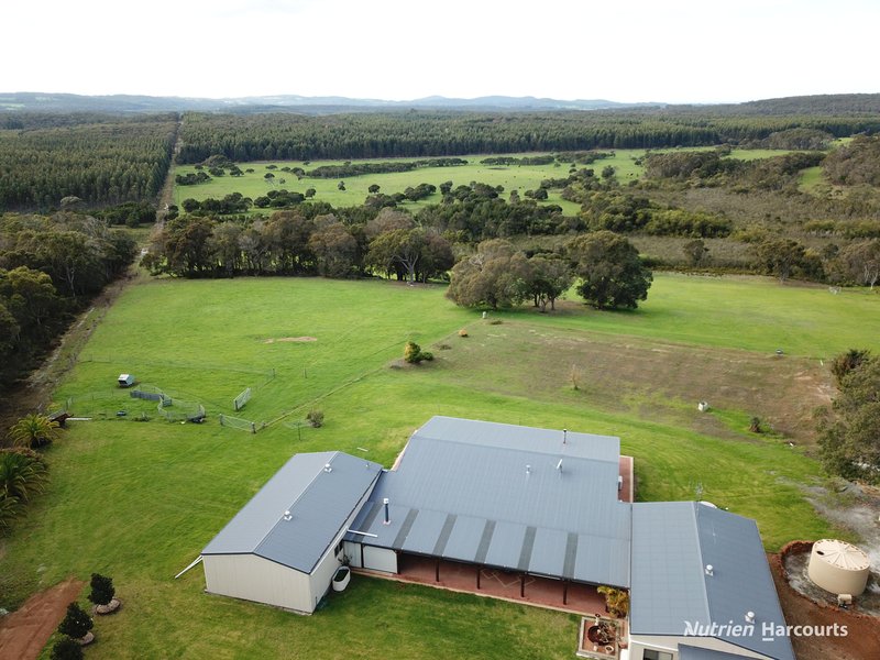 Photo - 526 Board Road, Kordabup WA 6333 - Image 24